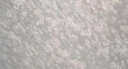 Prata Ornamental Prata Ornamental