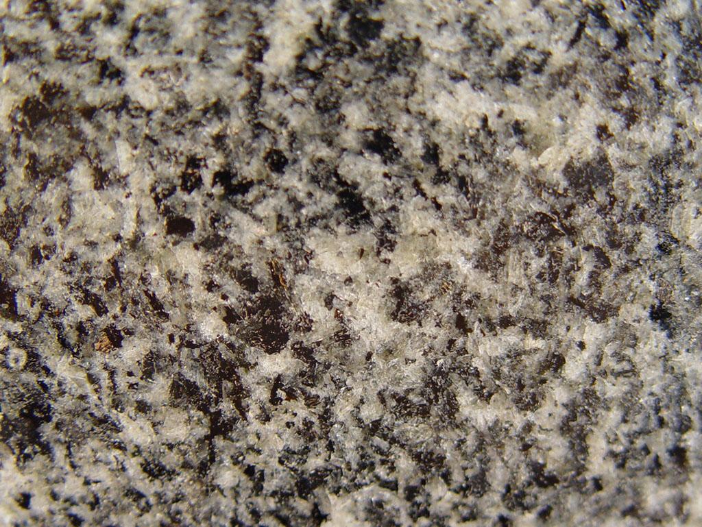 Negro Ochavo Negro Ochavo