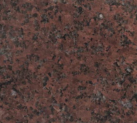 New Africa Red New Africa Red