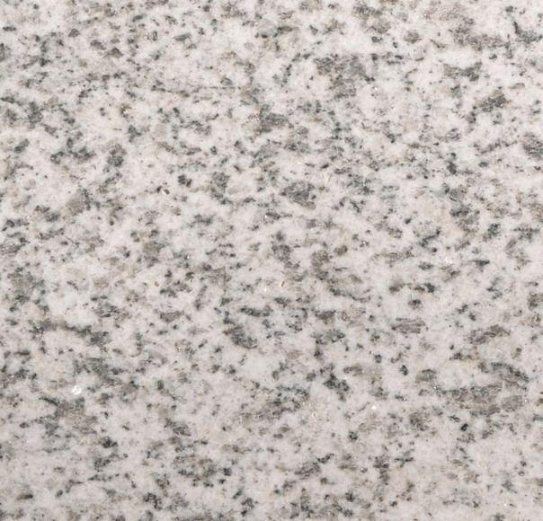 Shandong white Shandong white