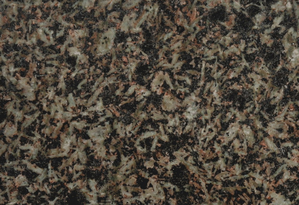 Verde ForestB Verde ForestB