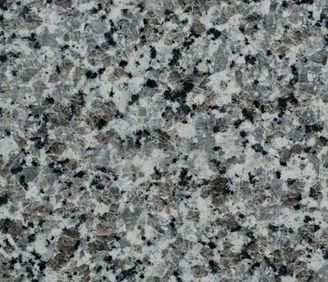 Swan White Swan White