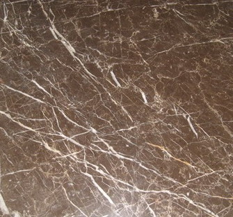 Kaka Brown Kaka Brown