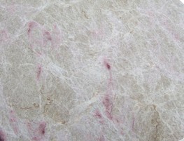 Paris Rose Paris Rose