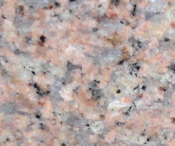 Salisbury Pink Salisbury Pink