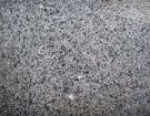 Sesame_Black-4.jpg