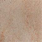 Tiger Skin SandStone